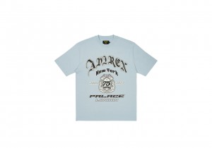 Chill Blue Palace Avirex T-Shirt T-Shirts | RT33-P3-IM