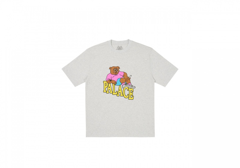 Grey Marl Palace Doghouse T-Shirt T-Shirts | NY18-P5-YI