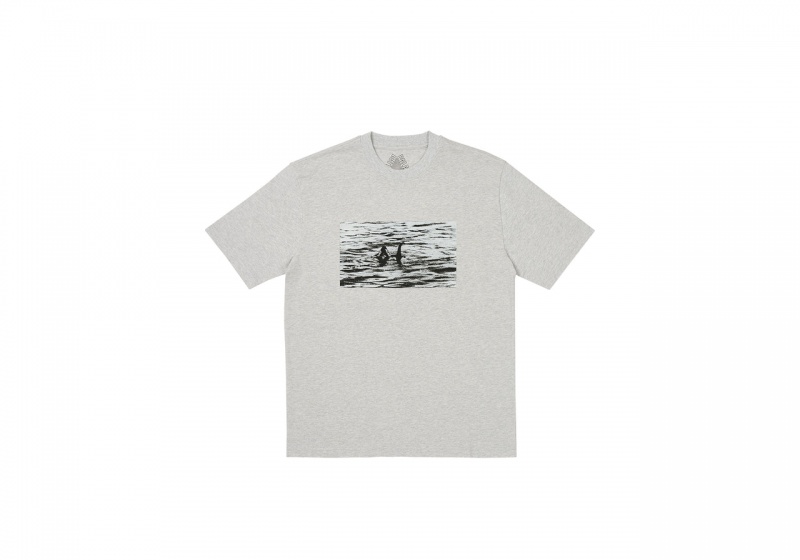 Grey Marl Palace Nessie T-Shirt T-Shirts | LT14-P9-XN