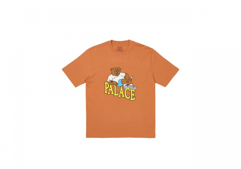 Melted Sugar Palace Doghouse T-Shirt T-Shirts | BG77-Y1-EL