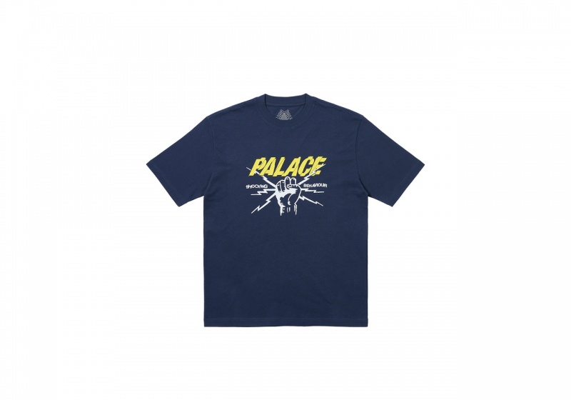 Navy Palace Shocking Behaviour T-Shirt T-Shirts | XE23-J8-ES