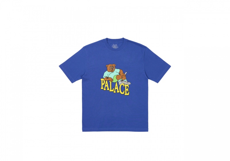 Ultra Palace Doghouse T-Shirt T-Shirts | DZ14-P4-VO